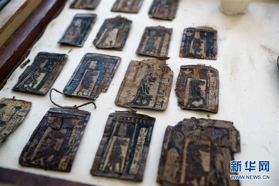 エジプト?サッカラで約2700年前の動(dòng)物のミイラ発見(jiàn)