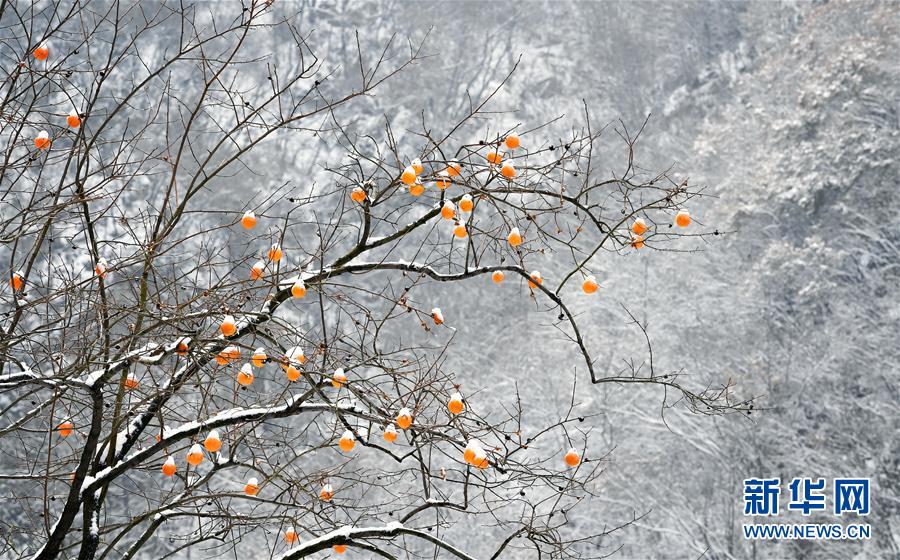 雪の秦嶺、茫漠たる連山　陝西省