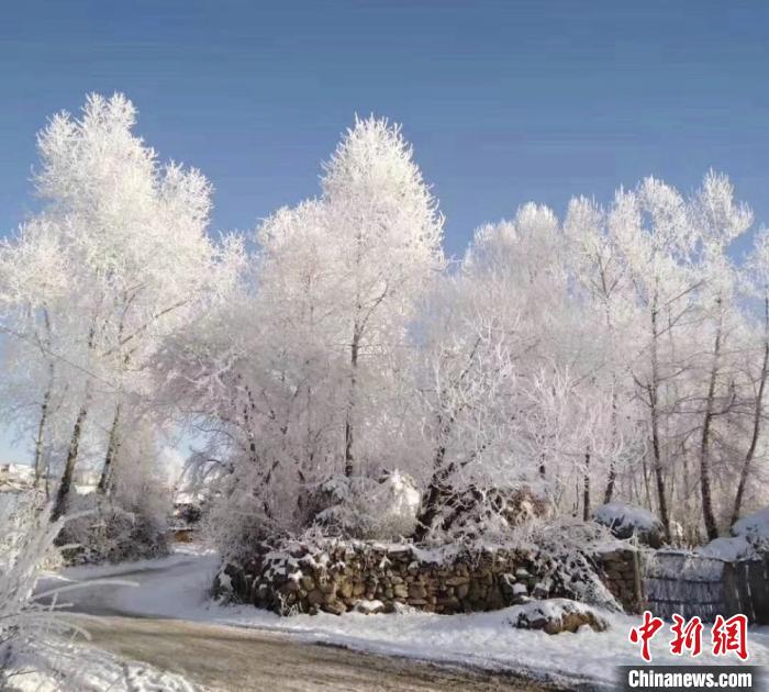 甘粛省で降雪、天地が白一色に　まるで夢の森