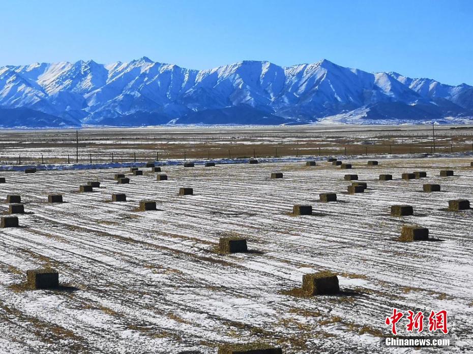 軍馬場(chǎng)に広がる北國(guó)の景色　甘粛省