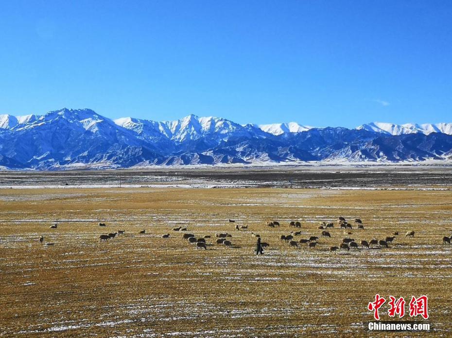軍馬場に広がる北國の景色　甘粛省