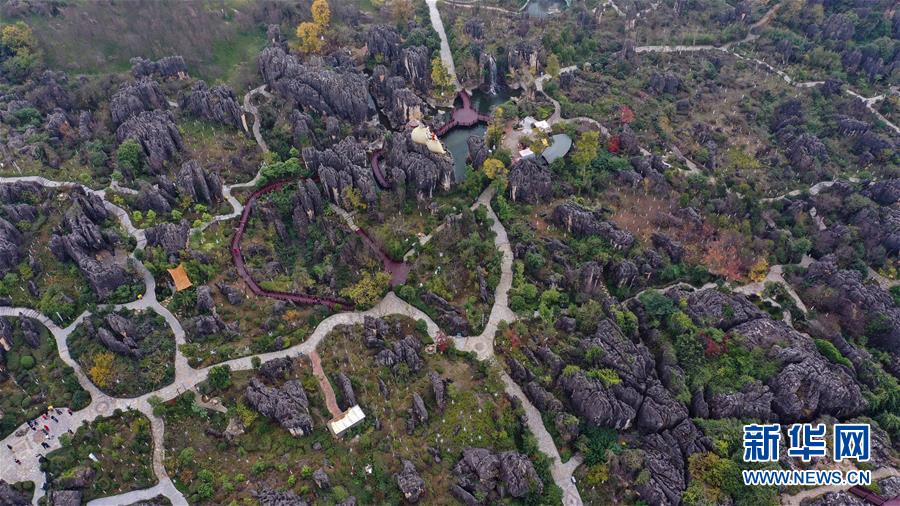 黒い石が居並び奇観広がる雲南省の石林