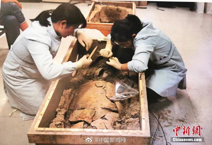 中國最古の絹織物、河南仰韶文化遺跡で発見