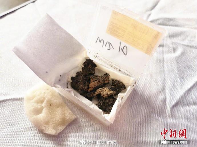 中國(guó)最古の絹織物、河南仰韶文化遺跡で発見