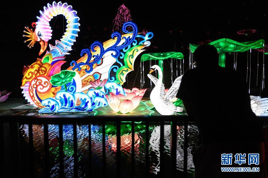 自貢のランタンがサンティアゴの夜を中國色に染める　チリ