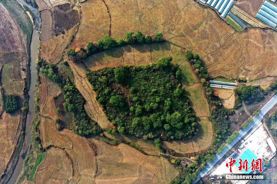 江西省吉水県で約5千年前の環(huán)壕遺跡発見