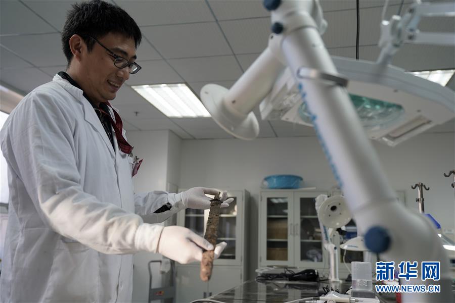 「國家博物館文保院」を訪ねて