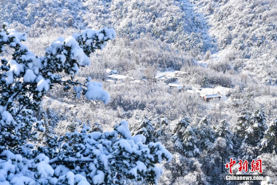 冬の麥積山大景勝地、そびえたつ孤峰に雪化粧　甘粛省