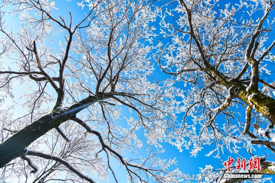 冬の麥積山大景勝地、そびえたつ孤峰に雪化粧　甘粛省