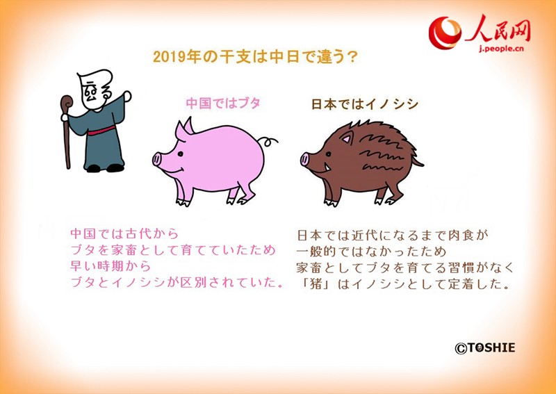 今年の干支はブタ？