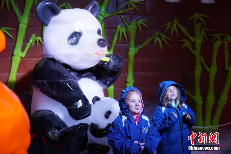 テキサスにハルビンの氷の彫刻がやって來た！　米國