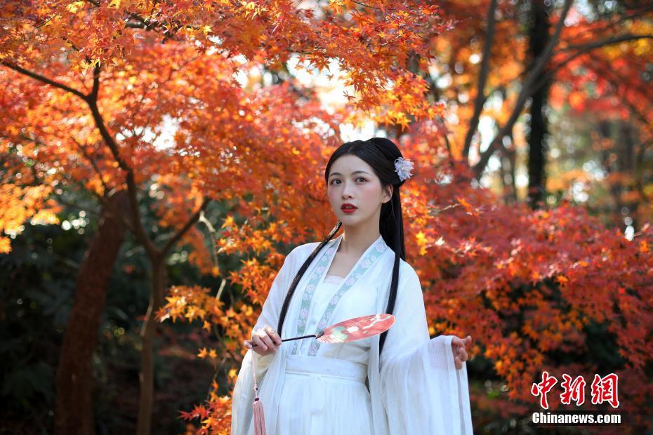 南京紫金山の紅葉に酔いしれる　江蘇省