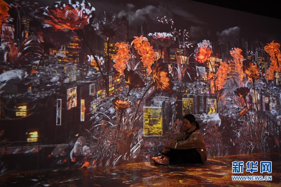 アート界の「夢の始まり」、長沙でニューメディアアート展　湖南省