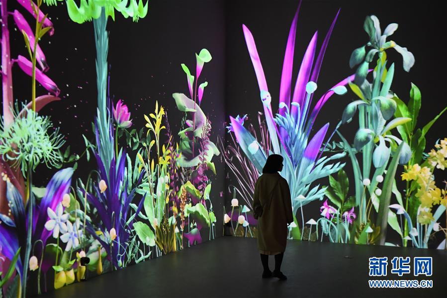 アート界の「夢の始まり」、長沙でニューメディアアート展　湖南省