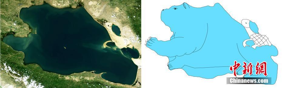 青海省の湖の衛(wèi)星畫像が研究者の手で動物に変身??？