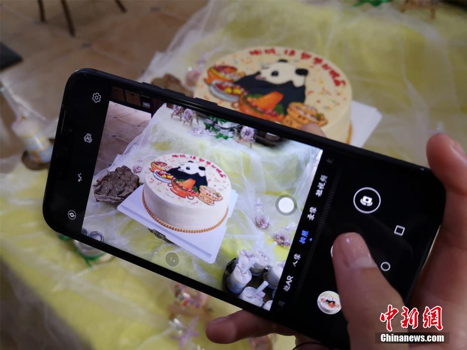 パンダの明浜が13歳の誕生日をご馳走でお祝い　広西チワン族自治區(qū)