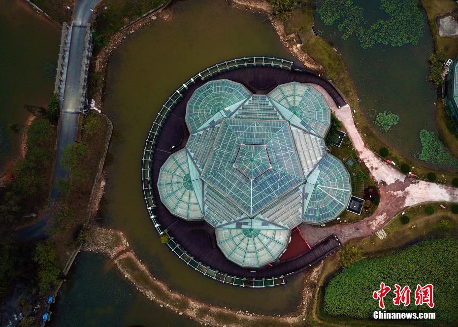 エイリアンの基地？実は植物園の溫室　広東省広州市