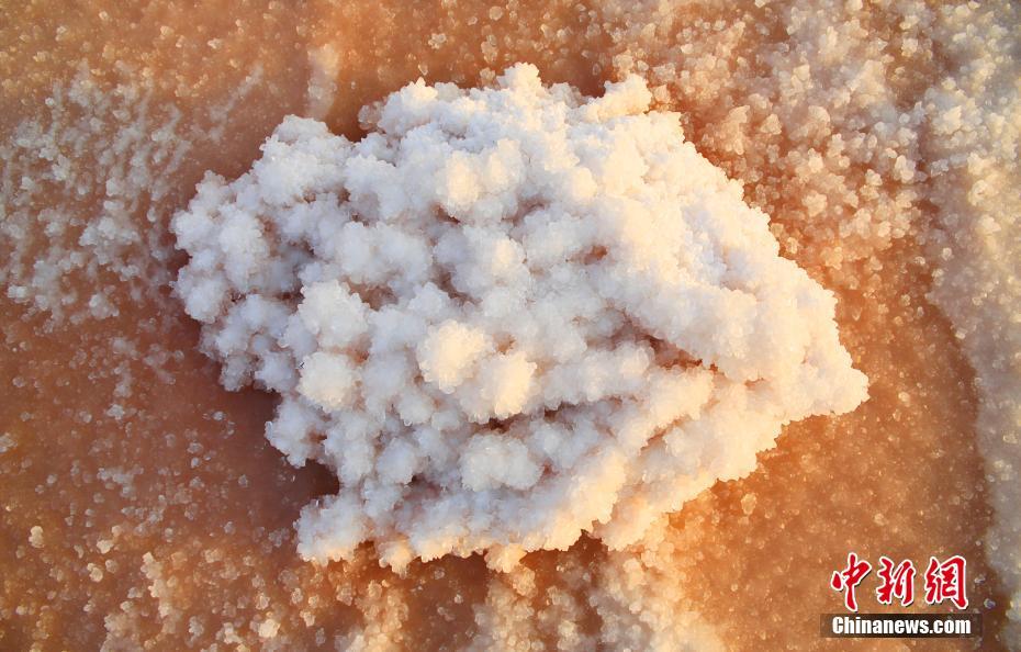 冬の塩湖に咲く「硝花」　山西省運(yùn)城市