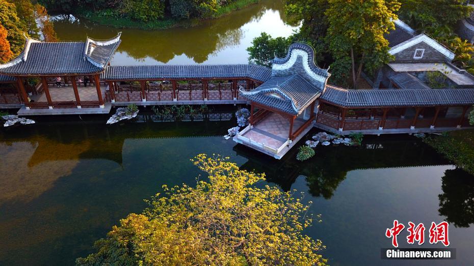 空から見た広州海珠國家濕地公園　広東省