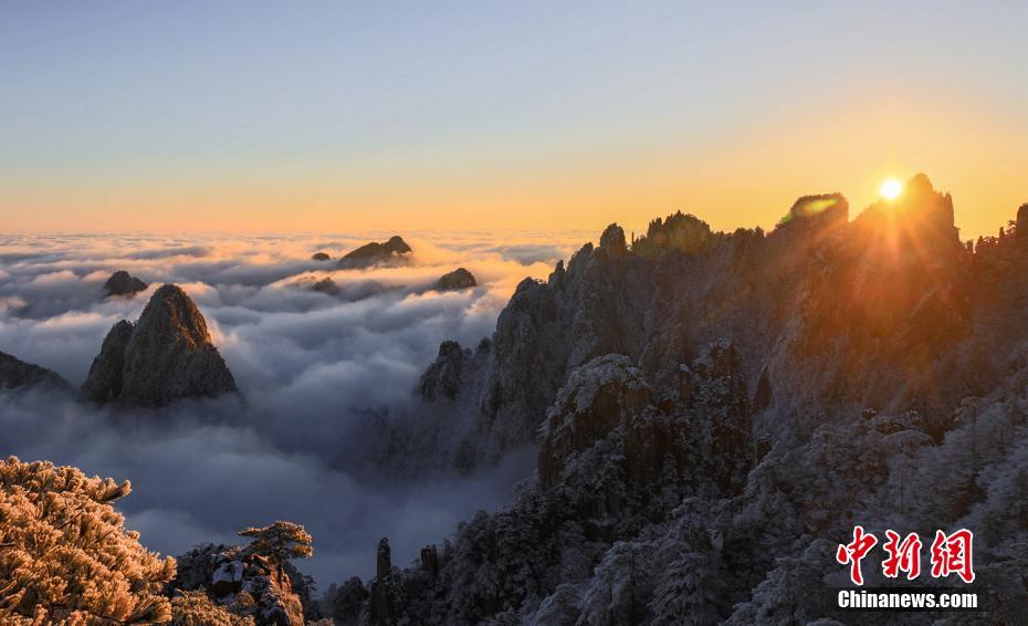 雲(yún)海と松を覆う霧氷の「競演」！仙境の絶景広がる安徽省黃山