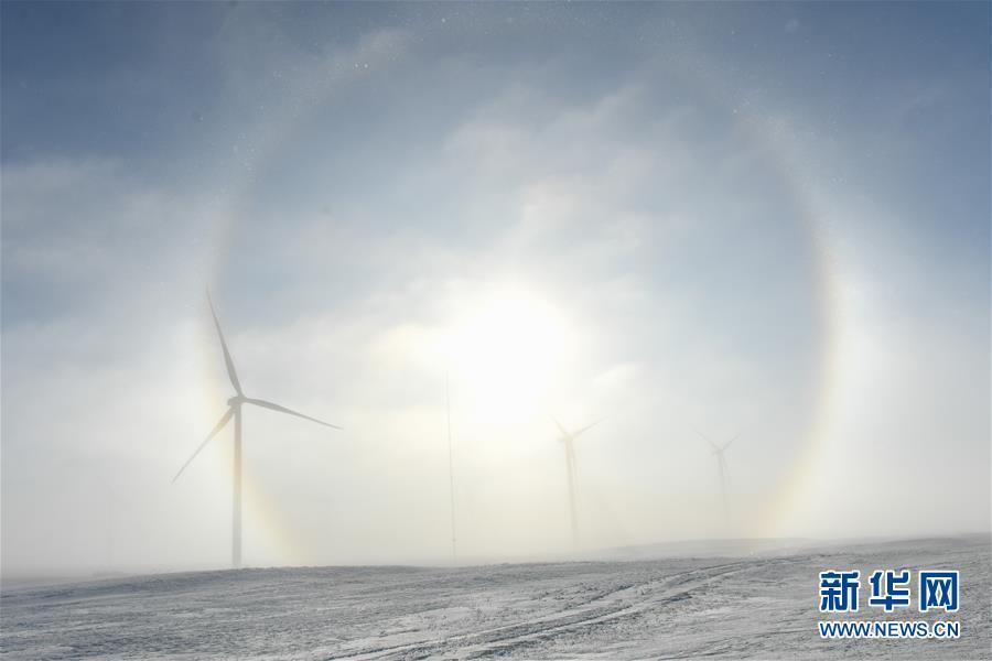 純白の雪に包まれた錫林郭勒草原の美しい冬景色　內(nèi)蒙古