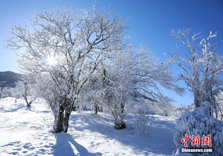 四川省茂県九鼎山に広がった美しい雪景色（撮影?何清海）。 