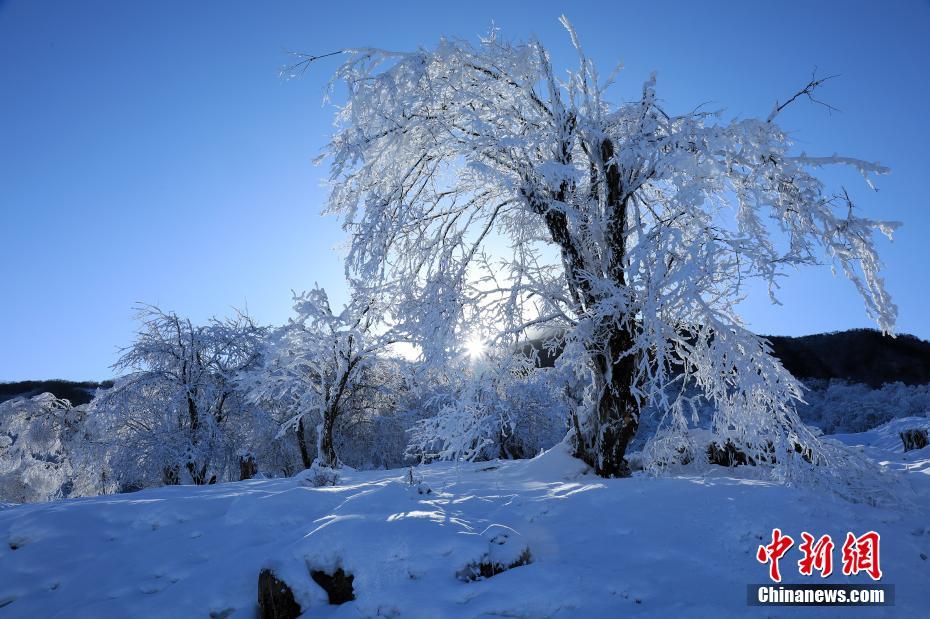 青空に映える仙境のような雪景色　四川省茂県九鼎山