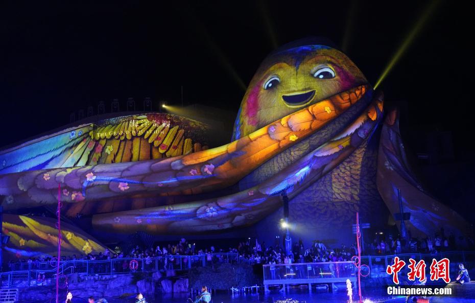 海洋奇観の壁に映し出された鳥に変身した精霊「ANIMO」（撮影?張■、■は火へんに韋）。