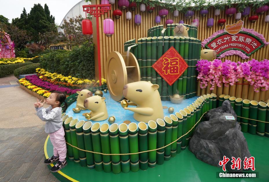 カピバラも登場(chǎng)！香港オーシャンパークが鼠年祝う飾り付け