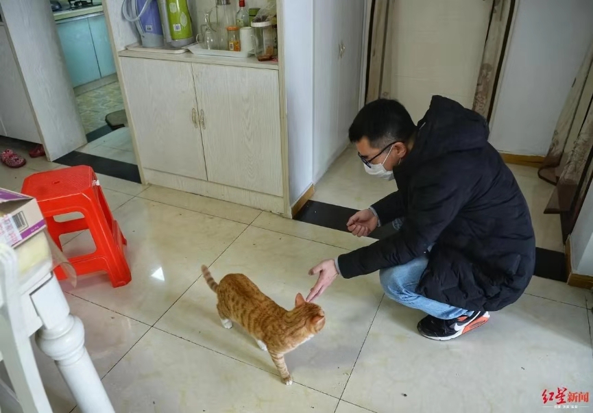 武漢のペットを救え！武漢に取り殘されたペットたちに救済措置　湖北省