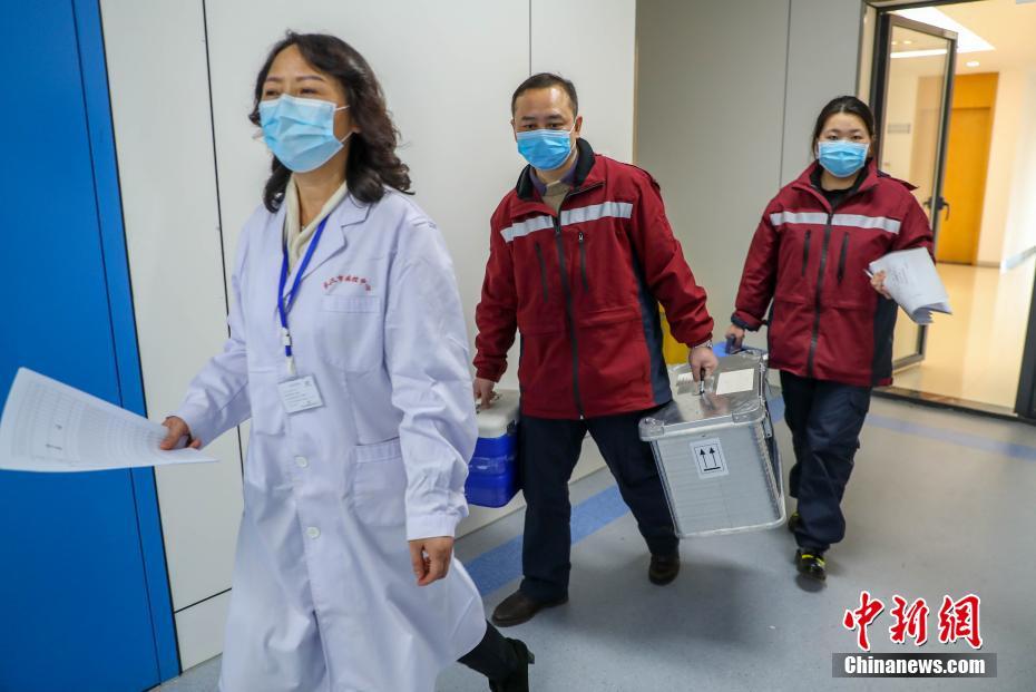 武漢の病原検査実験室、24時(shí)間態(tài)勢でウイルスを「捕捉」中