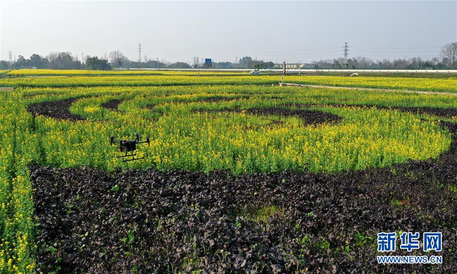 スマート化設備が春耕を支援　四川省