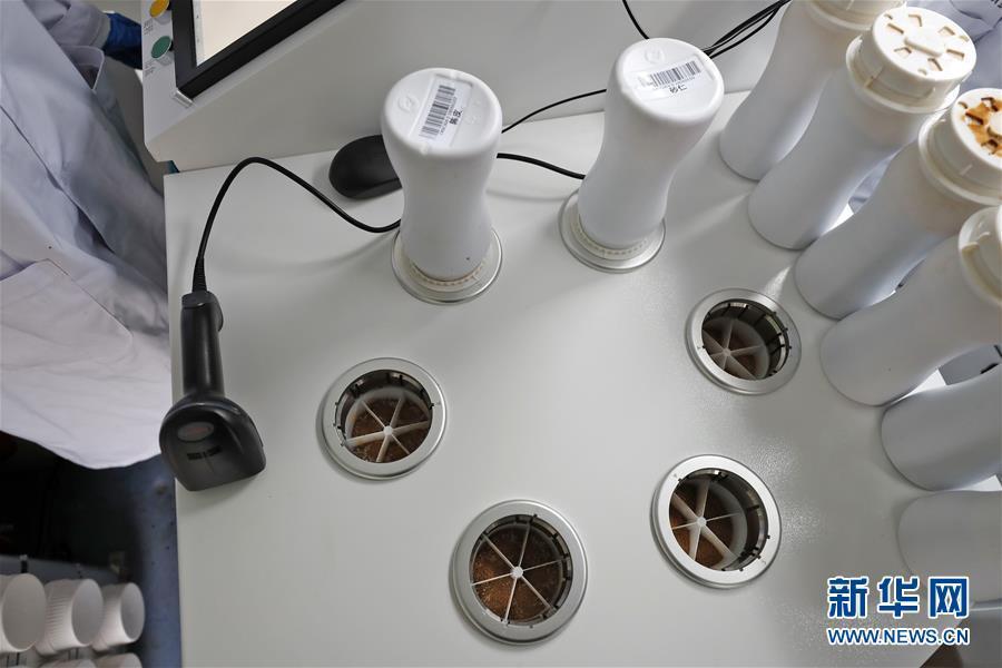 戦「疫」最前線の「移動式中醫(yī)薬薬局」　湖北省