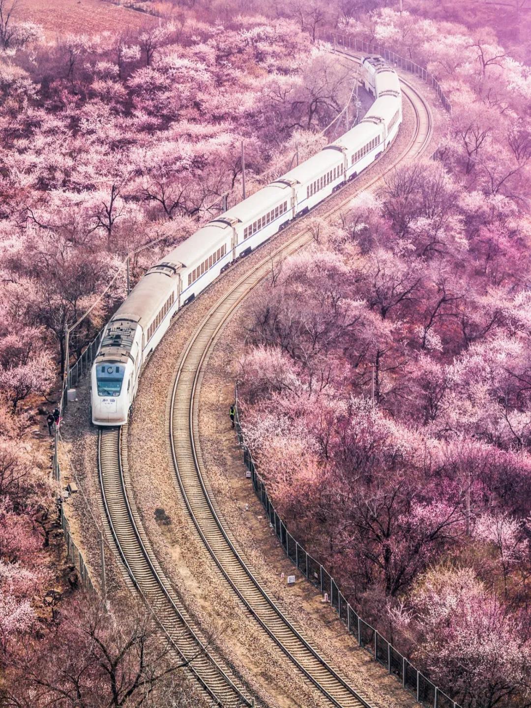 一生忘れられない春がやって來た！