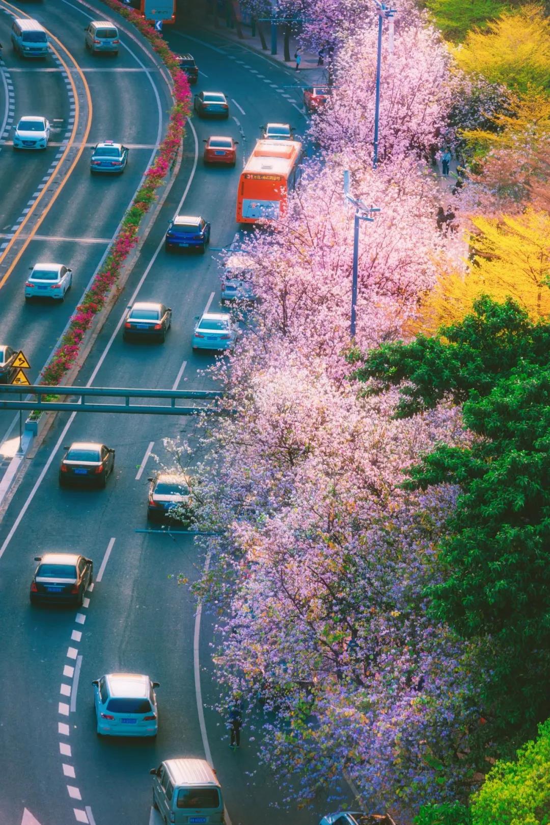 一生忘れられない春がやって來(lái)た！