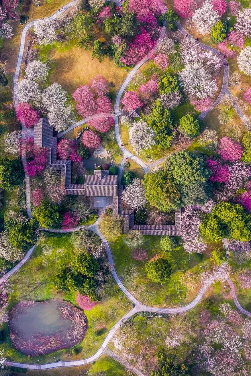 一生忘れられない春がやって來た！