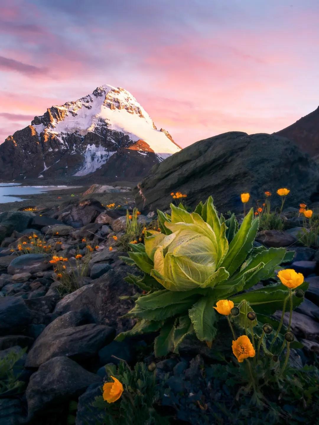 一生忘れられない春がやって來(lái)た！