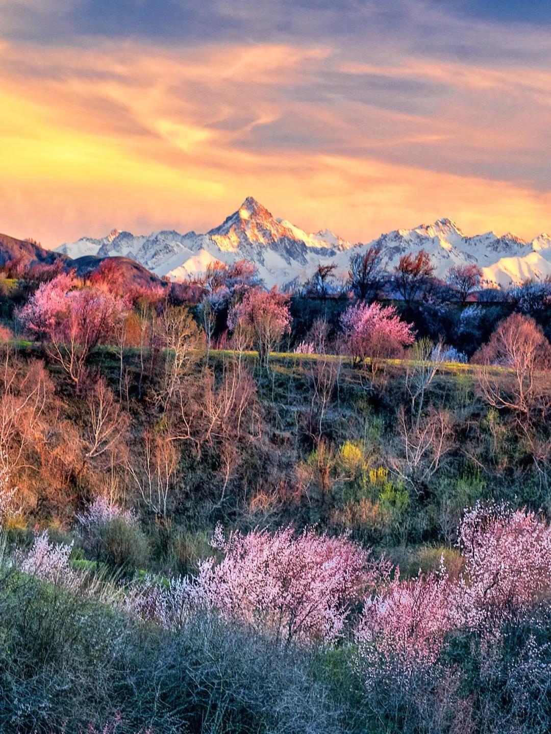 一生忘れられない春がやって來た！