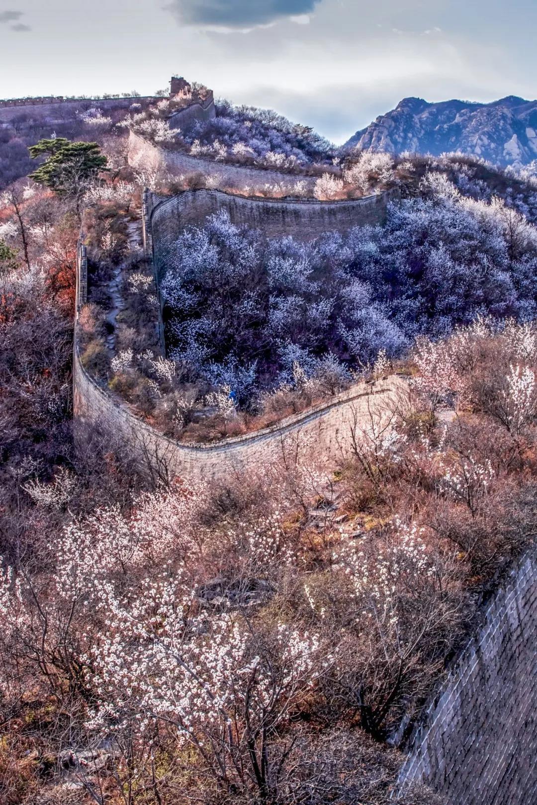 一生忘れられない春がやって來(lái)た！