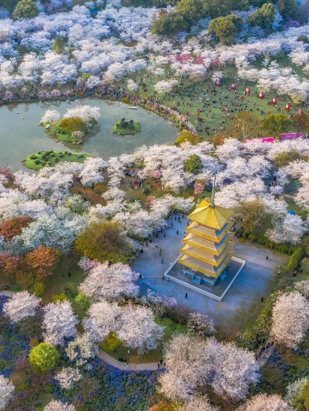 一生忘れられない春がやって來た！