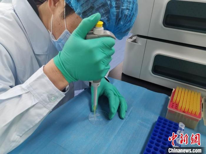 90分で6種の呼吸器ウイルスを検出、內(nèi)モンゴルで感染癥の新技術(shù)が応用