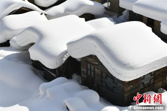 「丸々と太った」雪のキノコ！　春の雪郷はまるで「無(wú)人の仙境」