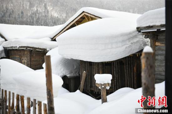「丸々と太った」雪のキノコ！　春の雪郷はまるで「無人の仙境」