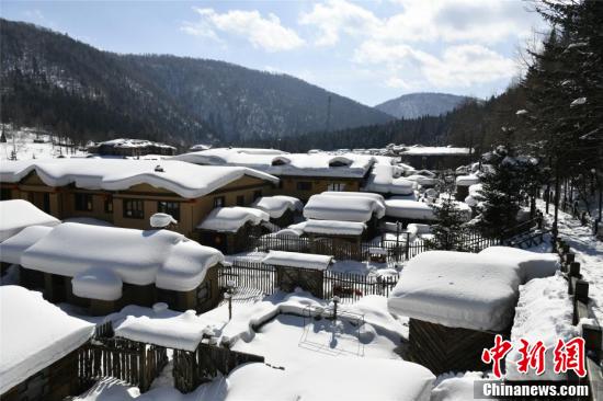 「丸々と太った」雪のキノコ！　春の雪郷はまるで「無人の仙境」