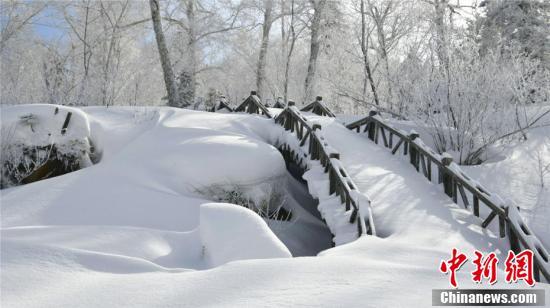 「丸々と太った」雪のキノコ！　春の雪郷はまるで「無人の仙境」