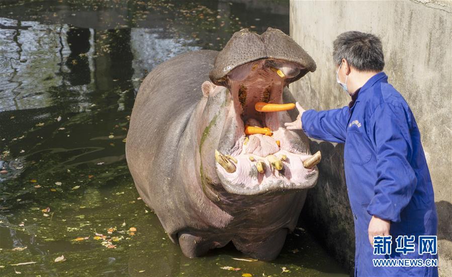 動物たちの安全守り続ける武漢動物園　湖北省