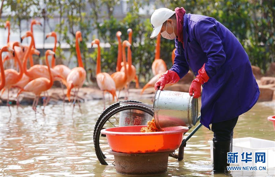 動物たちの安全守り続ける武漢動物園　湖北省