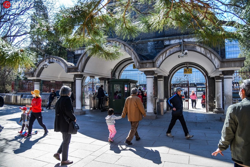 會いたかったよ！パンダと再會喜ぶ來園者たち　北京動物園が一般開放再開