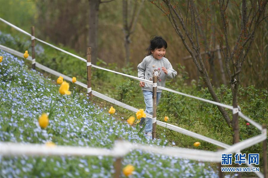 浙江省杭州のA級景勝地55ヶ所が「労働節(jié)」まで無料開放へ