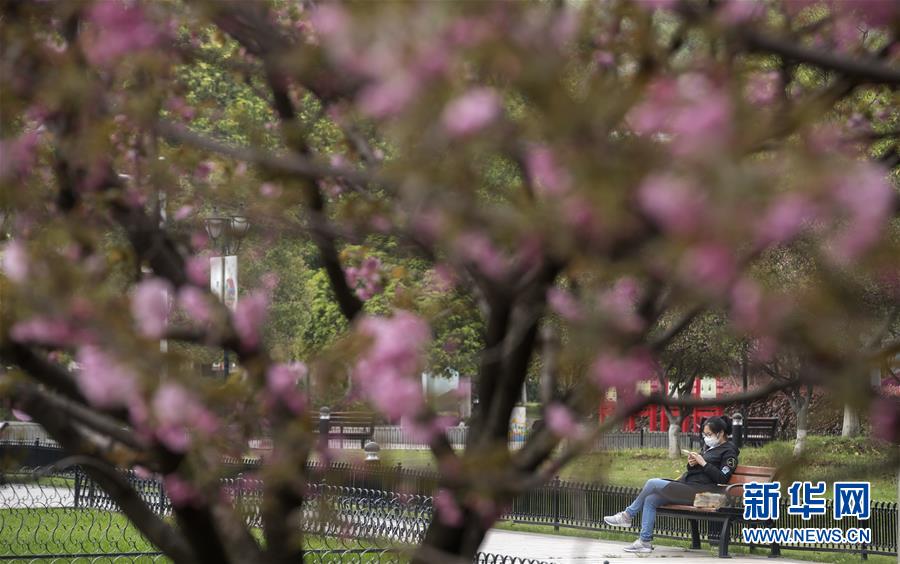 「生活の息吹」取り戻しつつある湖北省武漢市